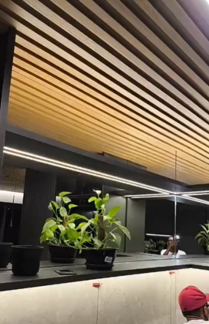 Plafon decorativo